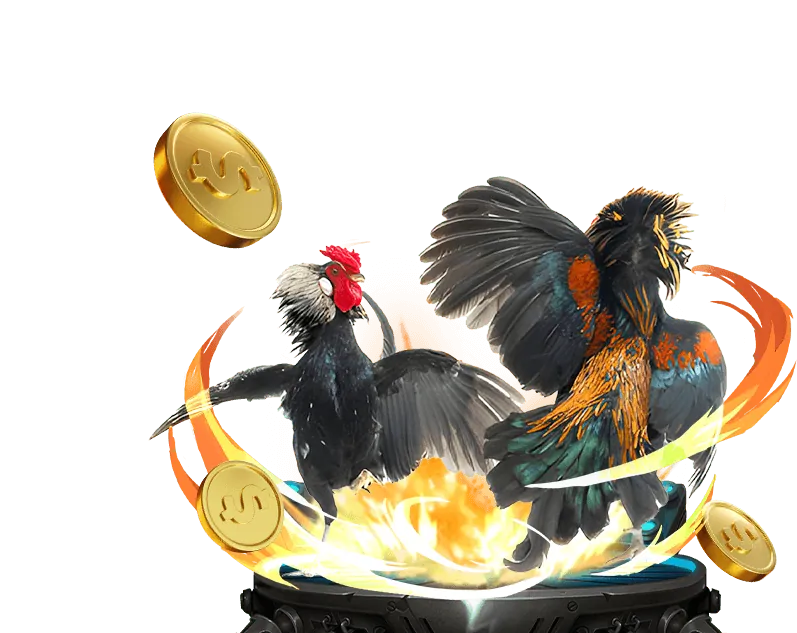 Hình ảnh Đá Gà TG88